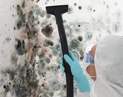 Mold Remediation for Vacation Homes in Lutcher, LA